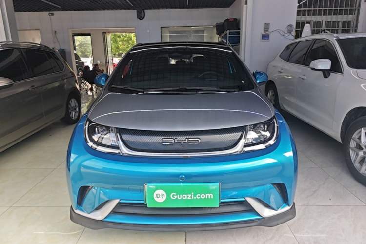 BYD Dolphin 2021 — 2