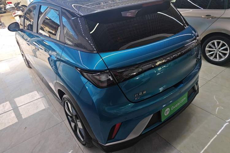 BYD Dolphin 2021 — 4