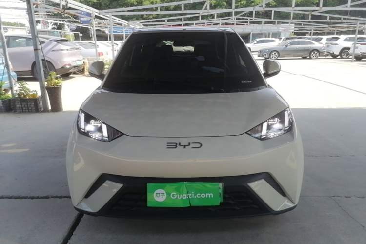 BYD Dolphin Mini 2025 — 2