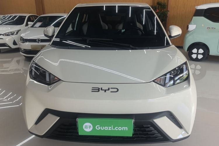 BYD Seagull 2025 — 2