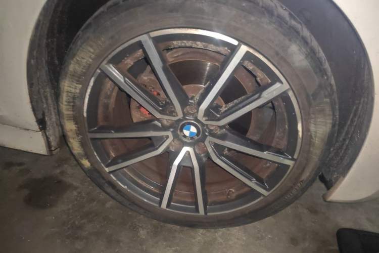 BMW 320Li 2020 — 5