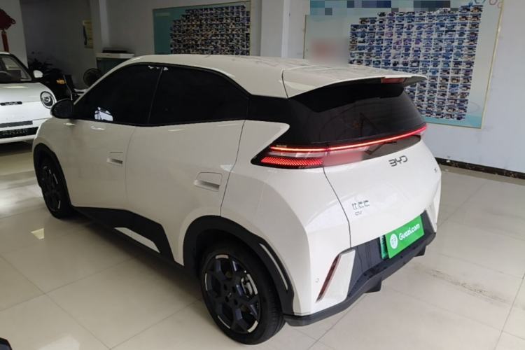 BYD Dolphin Mini 2025 — 4