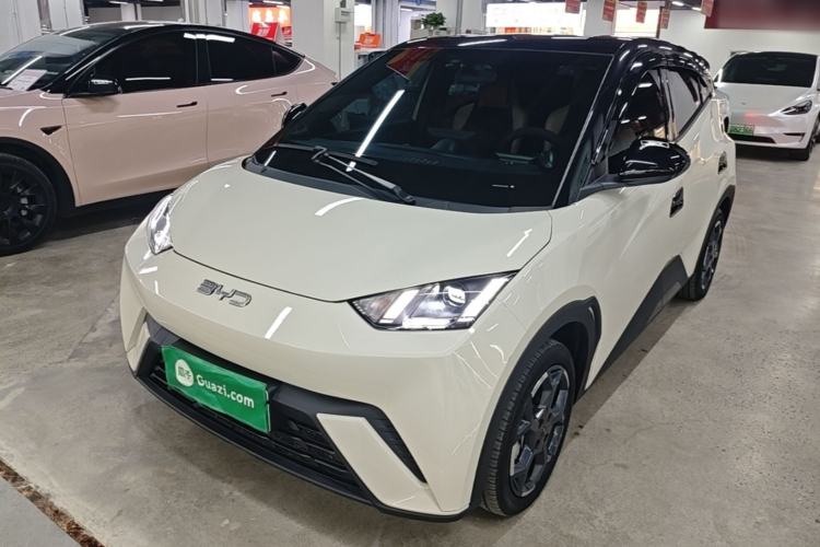 BYD Dolphin Mini 2025 — фото 1