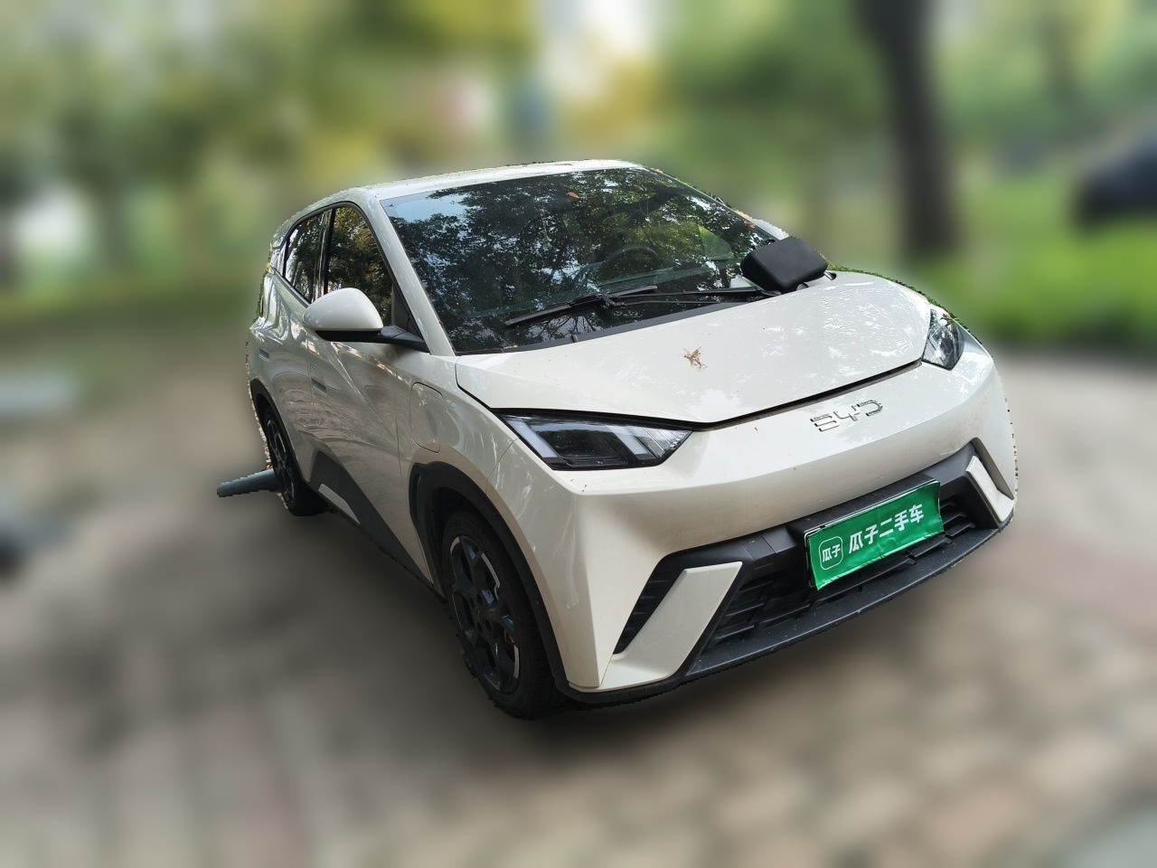BYD Dolphin Mini 2025 — фото 3