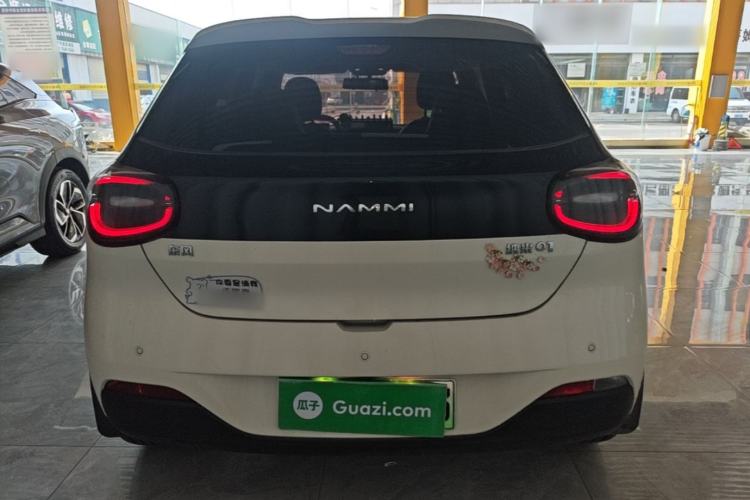 DongFeng NAMMI 01 2024 — 5