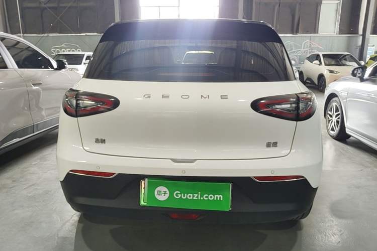 Geely Geome 2025 — 5