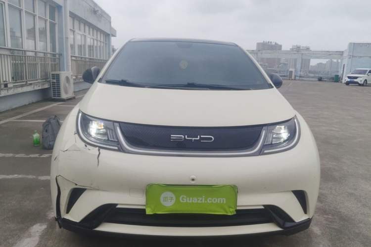 BYD Dolphin 2021 — 2