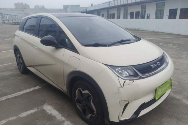 BYD Dolphin 2021 — 3