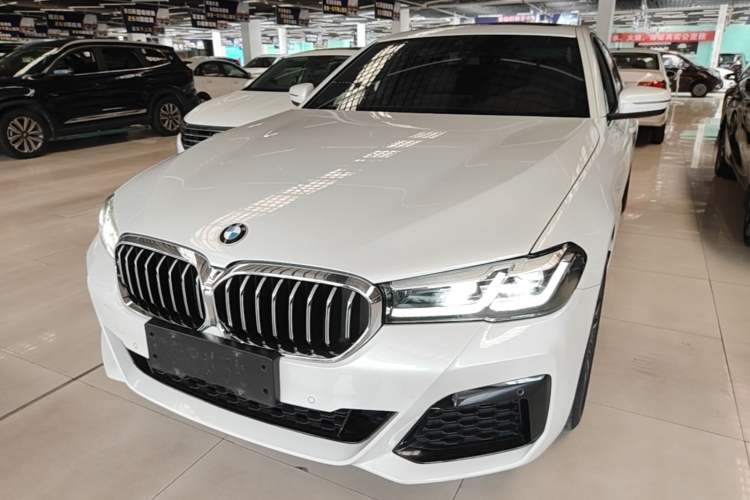 BMW 530Li 2023 — фото 1