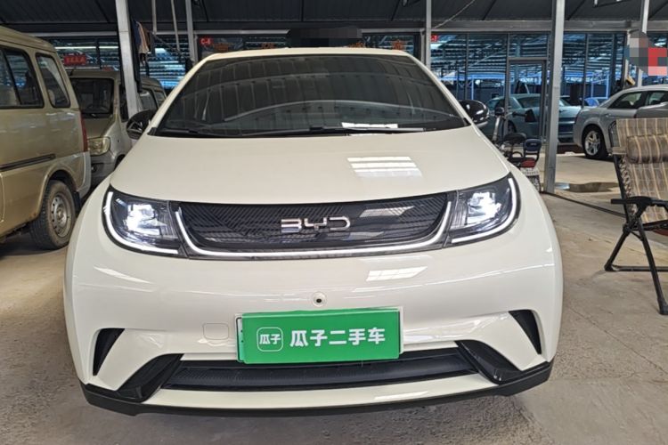 BYD Dolphin 2025 — 2