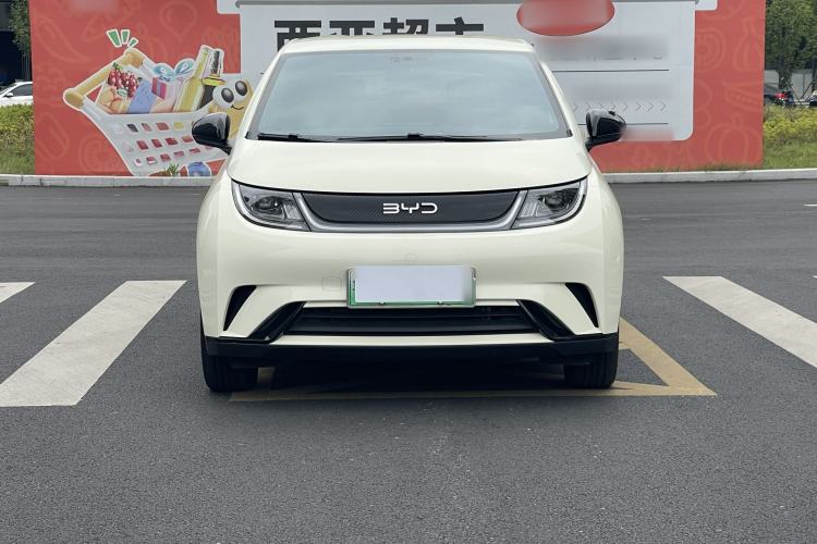 BYD Dolphin 2025 — 2