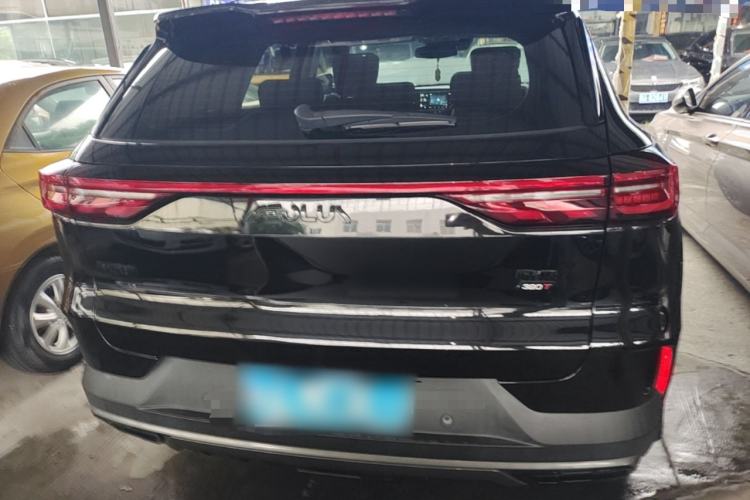 DongFeng Huge 2024 — 5