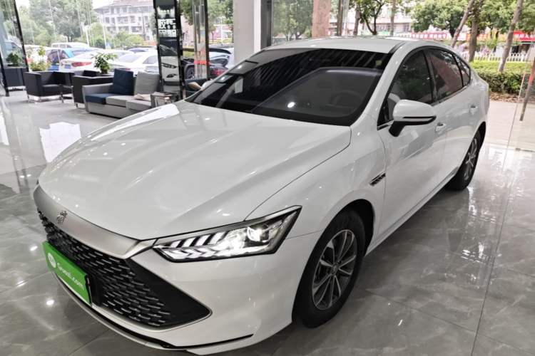 BYD Qin PLUS 2024 — фото 1