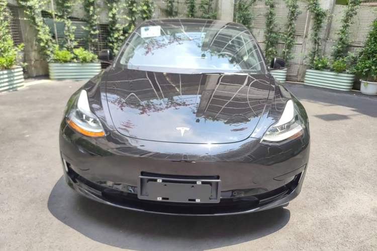 Tesla Model 3 2021 — 2