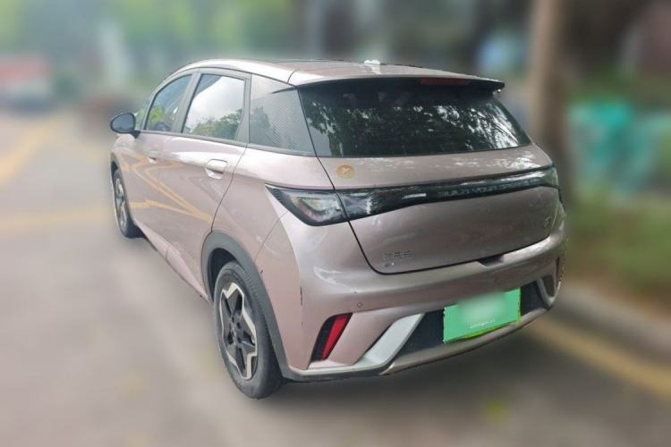 BYD Dolphin 2021 — 5