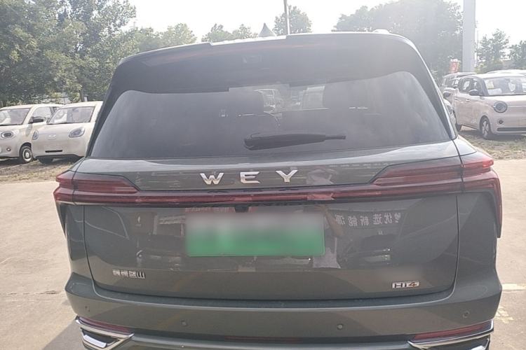 WEY Lanshan 2025 — 5