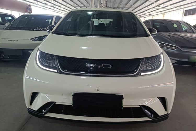 BYD Dolphin 2021 — 2