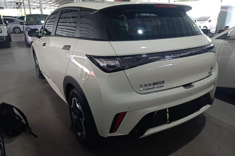 BYD Dolphin 2021 — 4