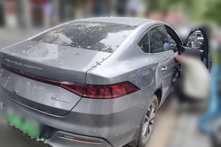 BYD Qin PLUS 2024 — 4