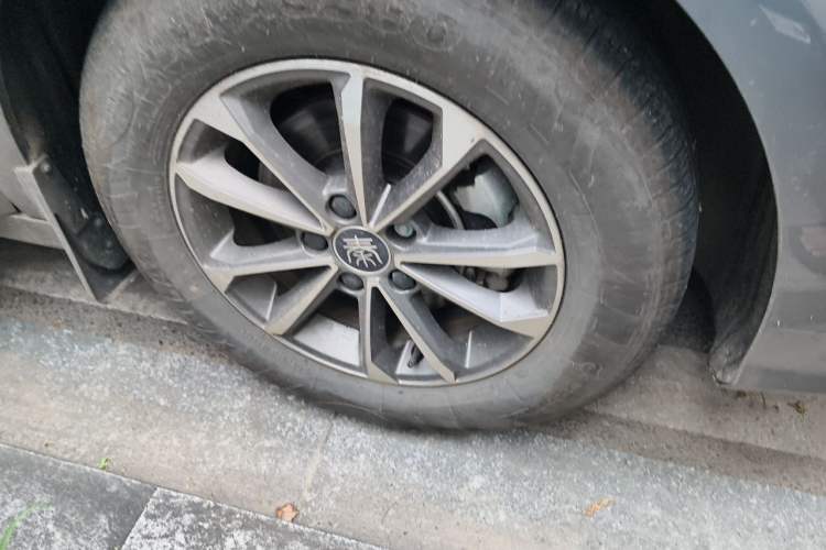 BYD Qin PLUS 2024 — 5