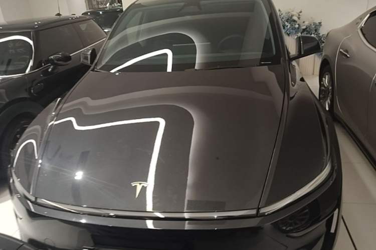 Tesla Model Y 2025 — 2