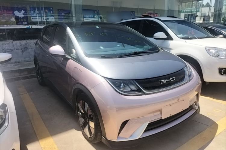 BYD Dolphin 2021 — 3