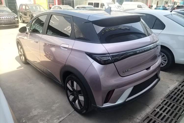 BYD Dolphin 2021 — 4