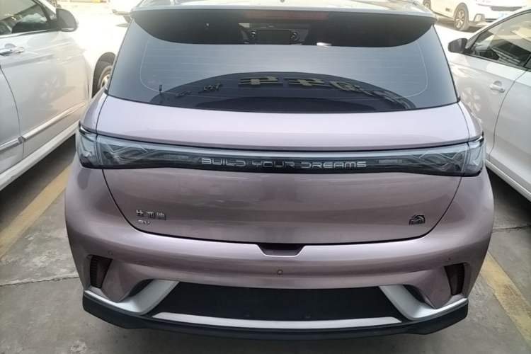 BYD Dolphin 2021 — 5