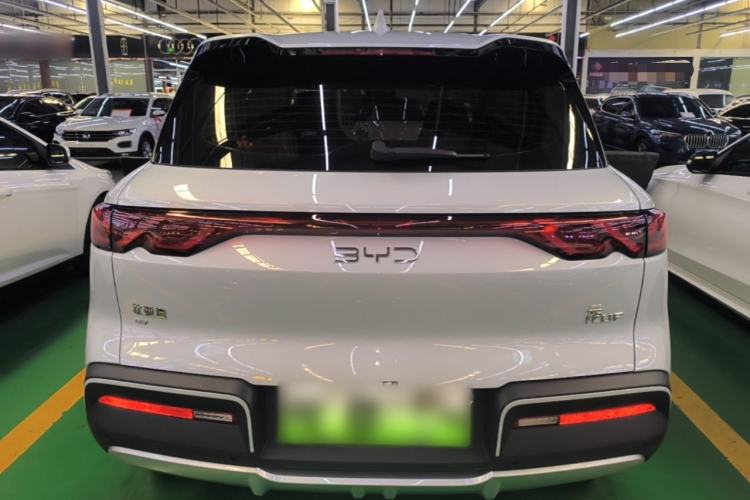 BYD Yuan UP 2024 — 5