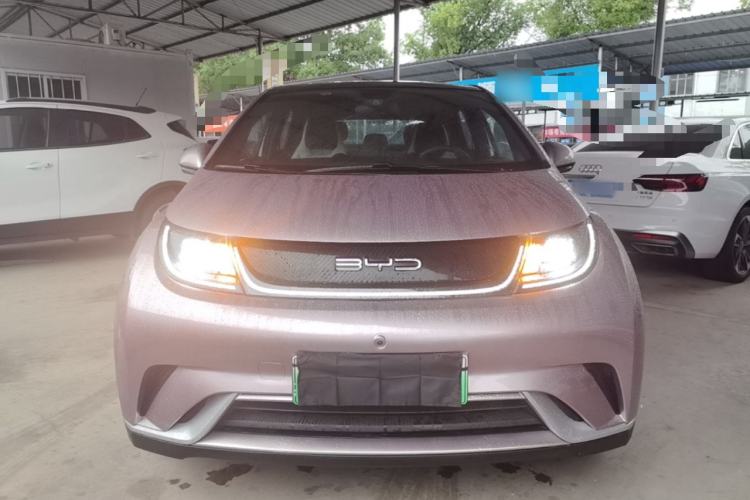 BYD Dolphin 2021 — 2