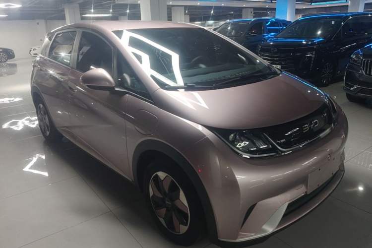 BYD Dolphin 2024 — 3