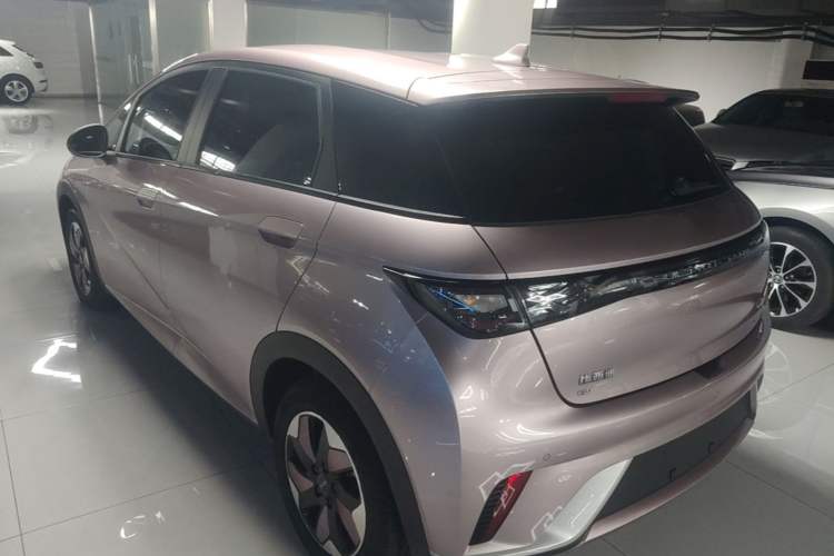 BYD Dolphin 2024 — 4