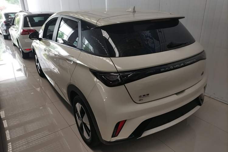 BYD Dolphin 2023 — 4