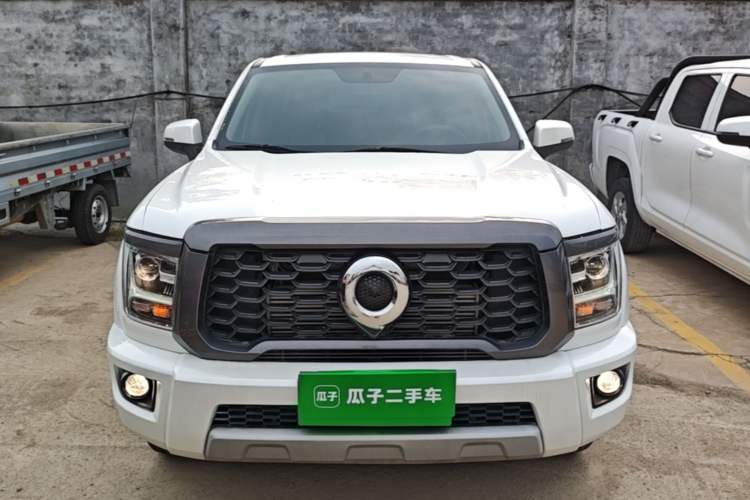 Great Wall wall king kong poer 2023 — фото 2