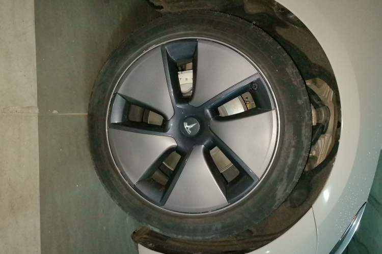 Tesla Model 3 2022 — 2