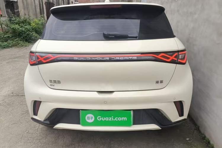 BYD Dolphin 2025 — 5