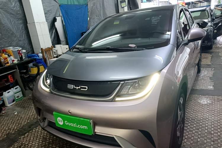 BYD Dolphin 2021 — 2