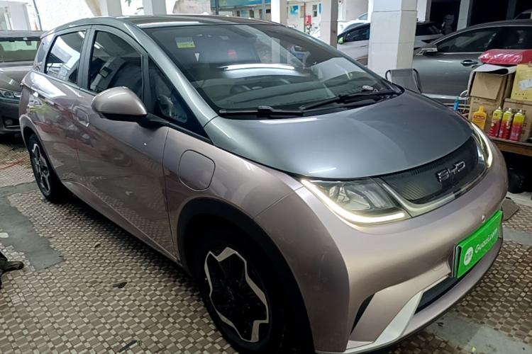 BYD Dolphin 2021 — 3