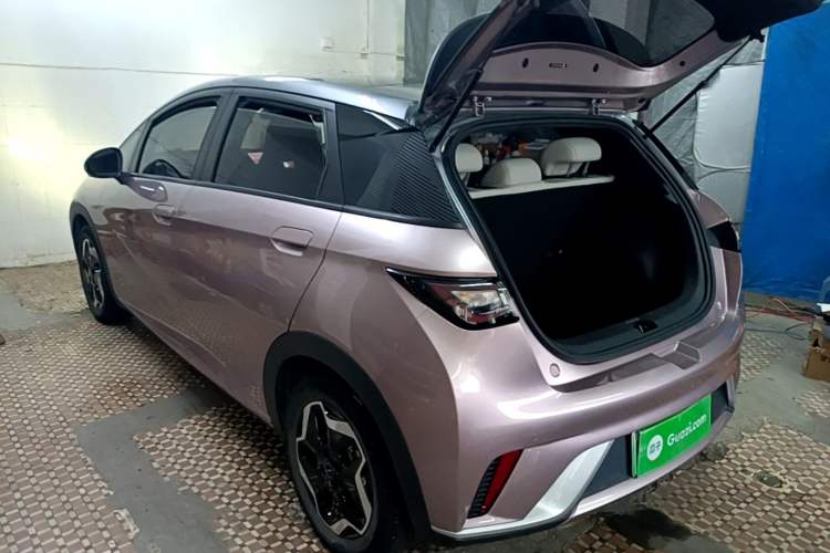 BYD Dolphin 2021 — 4