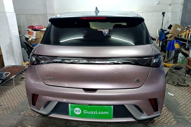 BYD Dolphin 2021 — 5