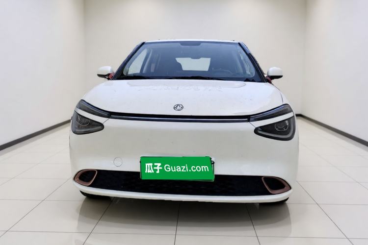 DongFeng NAMMI 01 2024 — 2