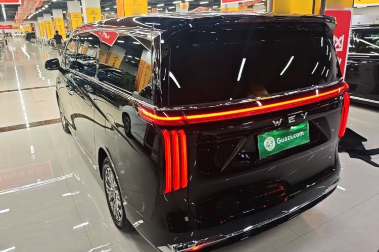 WEY Gaoshan 2025 — 4