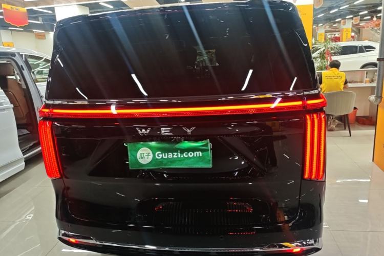 WEY Gaoshan 2025 — 5