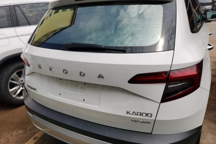 Skoda karoq 2020 — фото 5