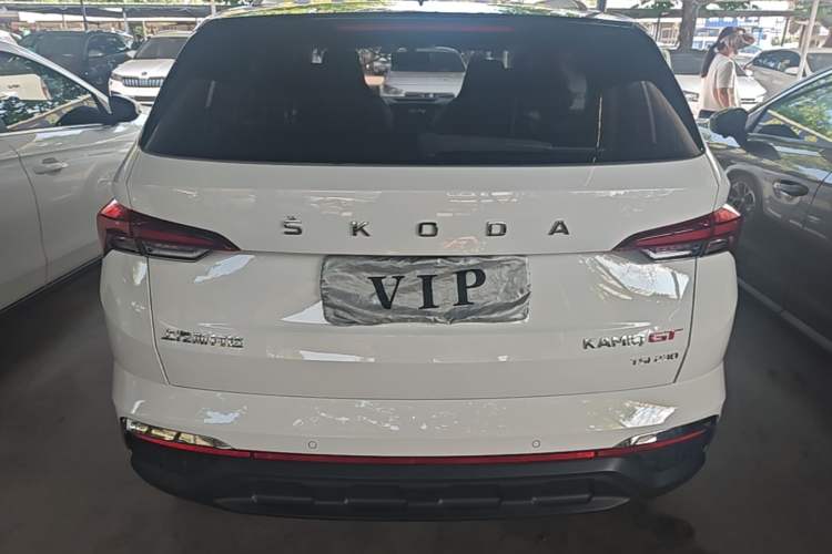 Skoda Kamiq 2020 — 5