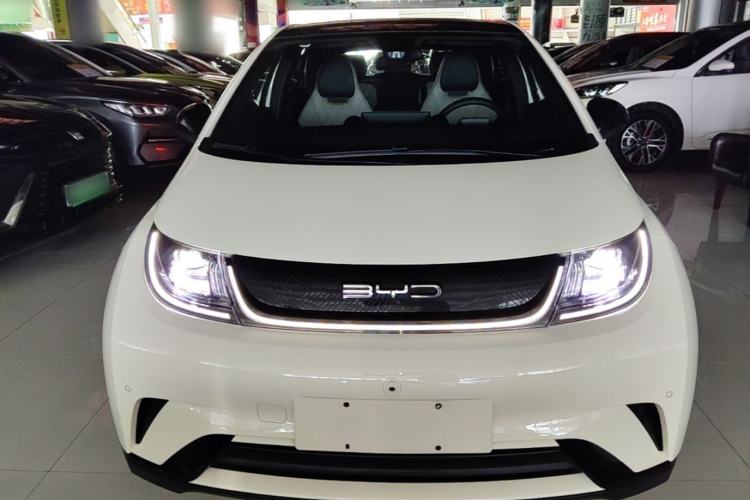 BYD Dolphin 2023 — 2