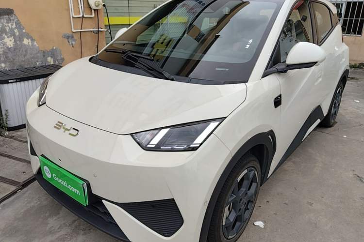 BYD Dolphin Mini 2025 — фото 1