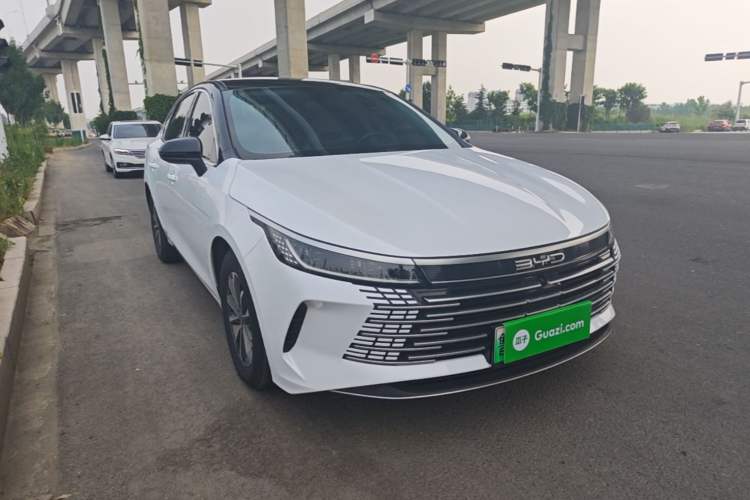 BYD Destroyer 05 2024 — 3
