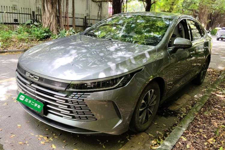 BYD Destroyer 05 2023 — фото 1