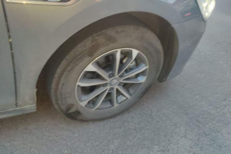 BYD Qin PLUS 2024 — 5